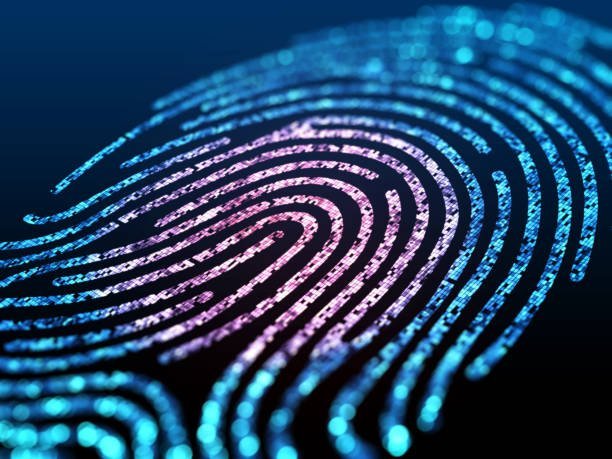 Fingerprint identity verification